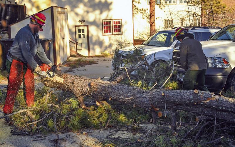 Crews clear a tree that had fallen in front of the Wind Cave National Park visitor center near some of the park’s vehicles. Only one structure was directly hit by a falling tree and none of the park’s vehicles sustained any damage. (NPS photo)