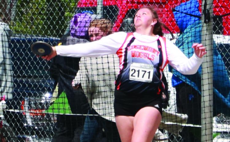 Hadley Hollenbeck