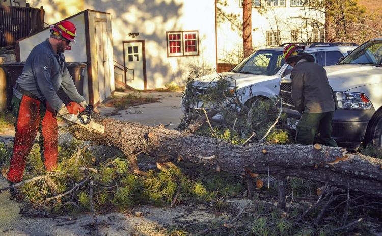Crews clear a tree that had fallen in front of the Wind Cave National Park visitor center near some of the park’s vehicles. Only one structure was directly hit by a falling tree and none of the park’s vehicles sustained any damage. (NPS photo)