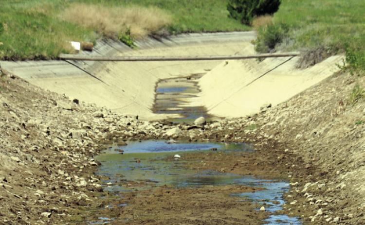 Puddles of water lay stagnant in the main canal during the temporary irrigation shutdown, which will end on June 19. Photo by Brett Nachtigall/FRCH-S