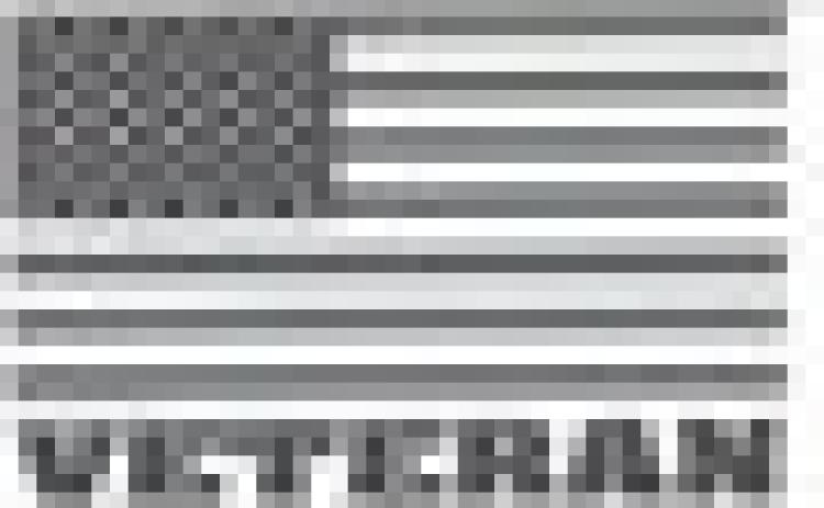 Alt Text for Image