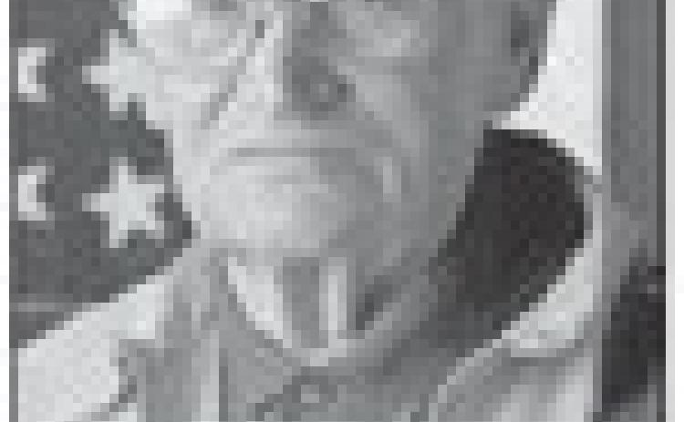 Alt Text for Image