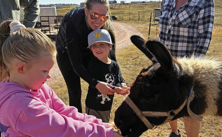 Z Seneca, 6, offers up a tasty treat to the llama at Serendipity Farmstead. Also pictured in back is young Grayson Fletcher who also tried his hand at feeding the llama. On the right is farmstead co-owner Melissa Holt. Photo by Charity Maness/Fall River County Herald Star