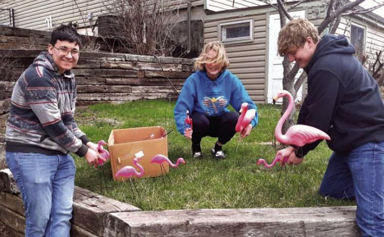 Wesleyan Youth Group members Kallen Kutz and Teagan Erskin (front) and Southern Hills E-Free youth group member Emma Niles(back) prepare for flamingo yard games. Courtesy photo